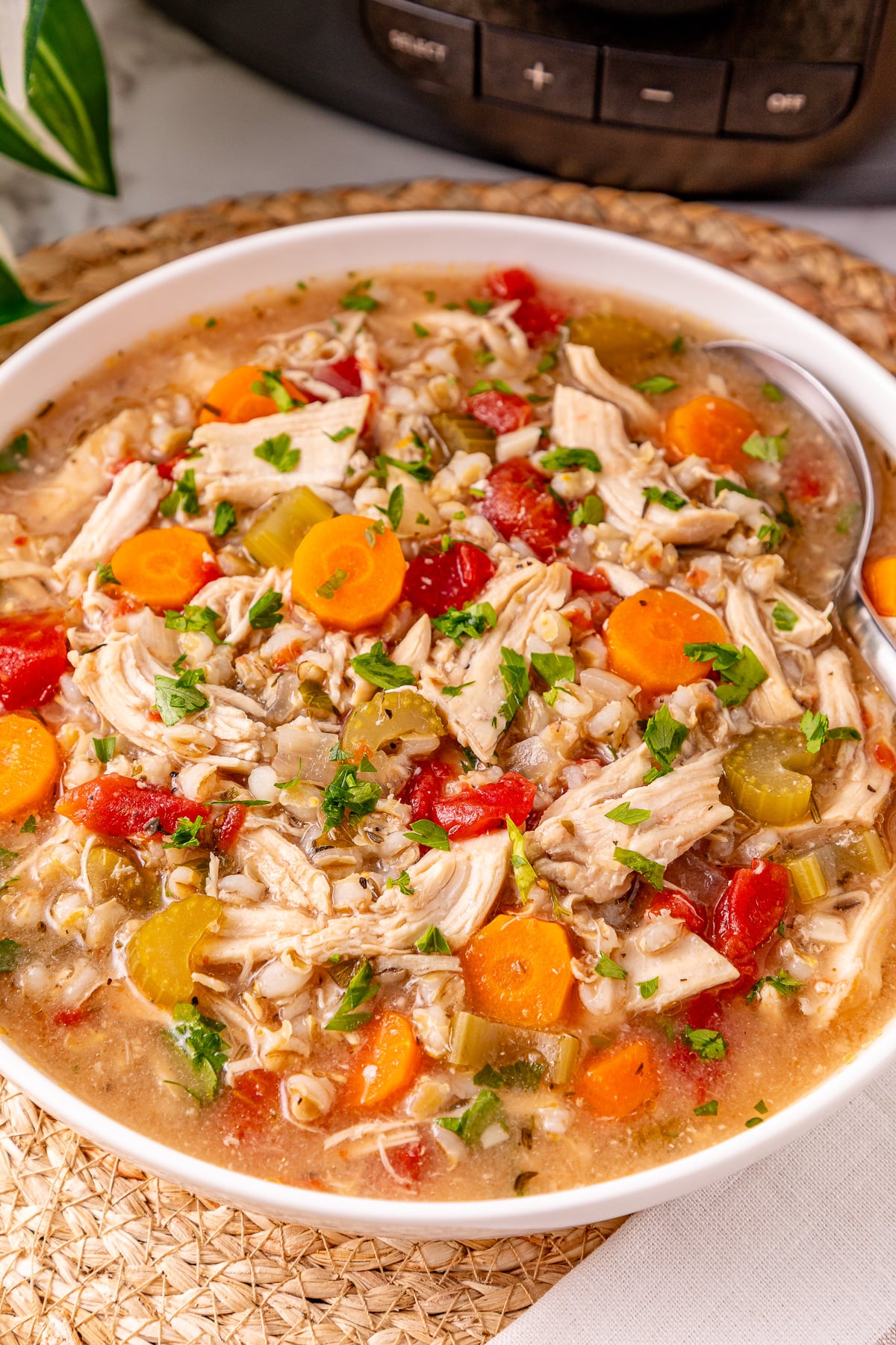 Crockpot chicken and barley soup served in a white bowl for a family dinner.