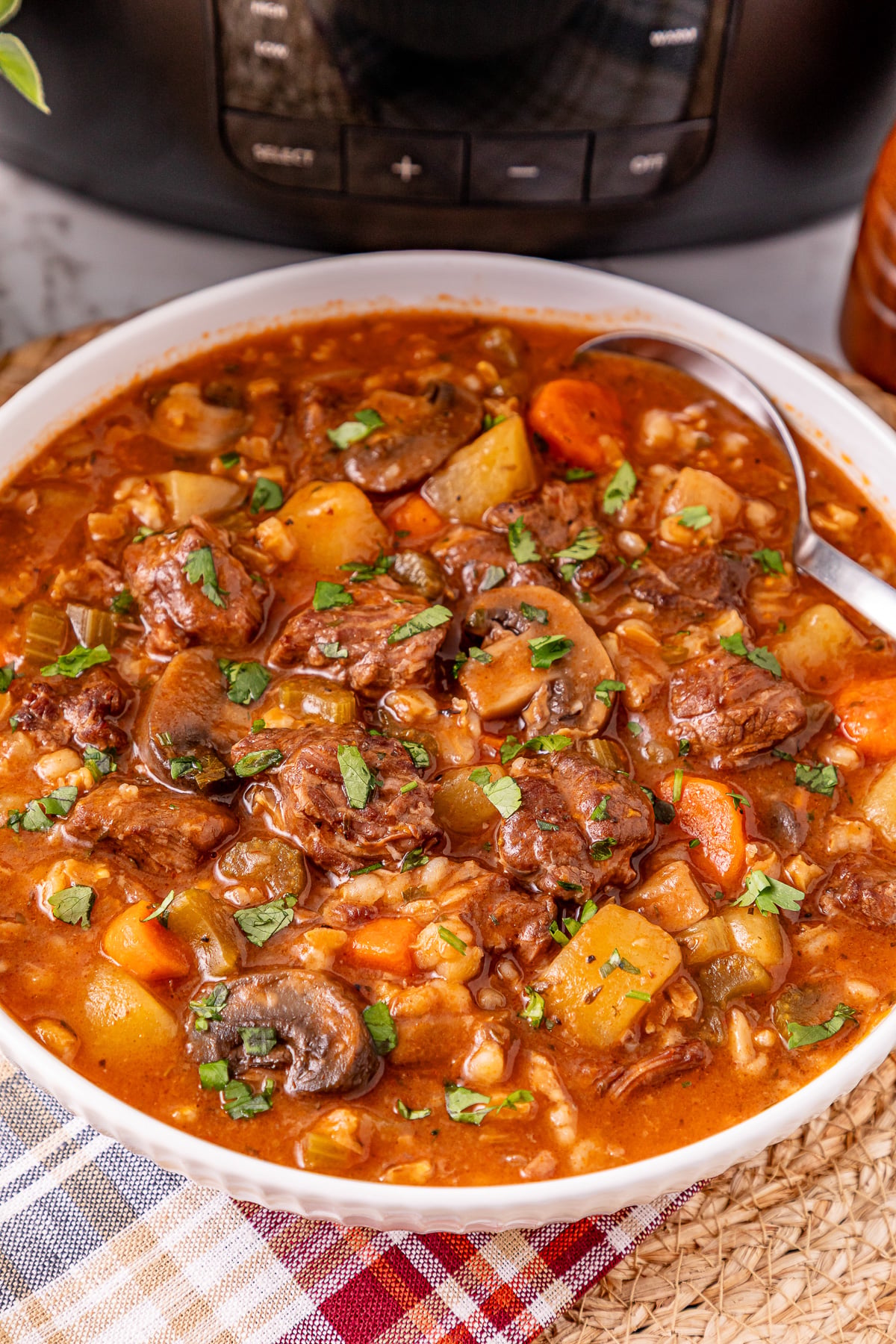 Beef barley soup in white bowl.